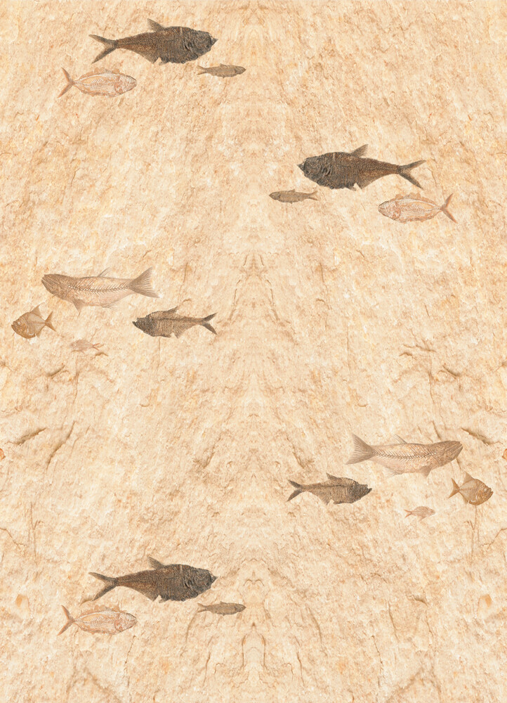 A42b433a 3761 474f a8bd 8b7f205e9b42