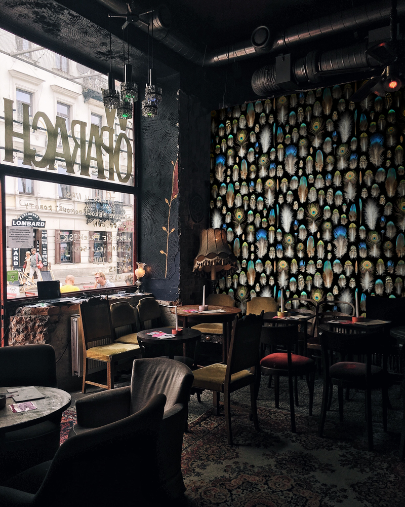 Proud as a peacock lifestyle