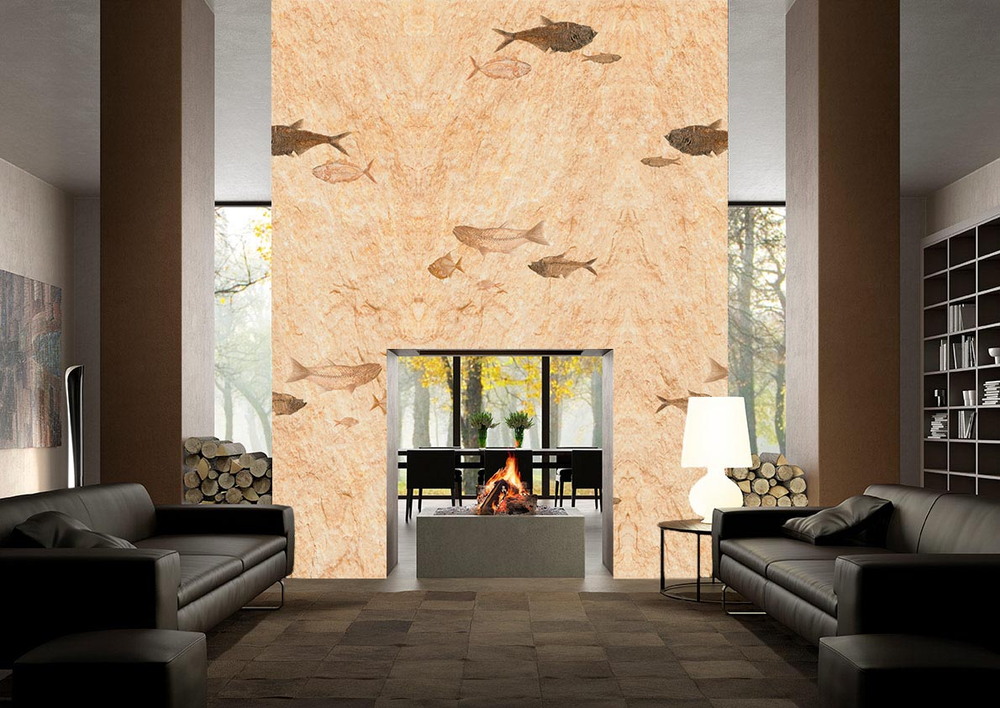 Fish fossil repeat lifestyle